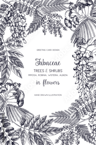 Vintage trees and shrubs in flowers illustration. Valentine's Day or Wedding design template. Vector greeting card with hand drawn wisteria, black locust, silver wattle, albizia sketch.