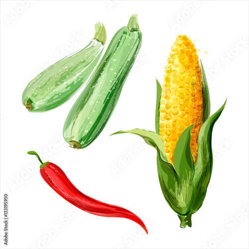Obraz na płótnie Zestaw warzyw akwarela wektor. Cukinia, kukurydza, czerwone chili