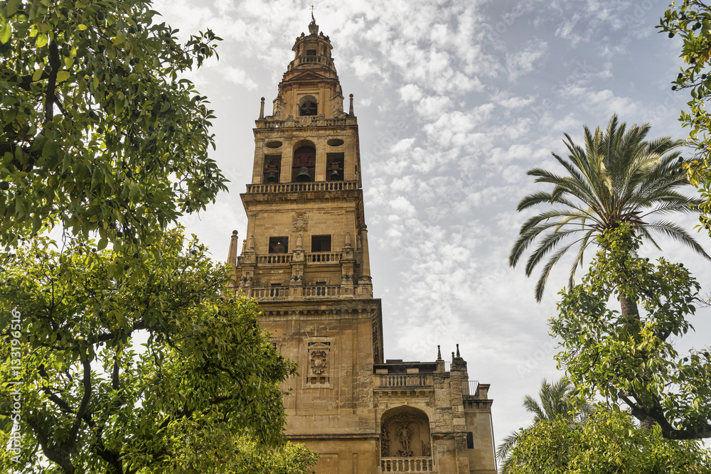 Cordoba (Andalucia, Spain): cathedral courtyard