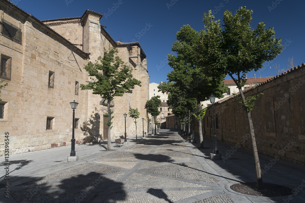 Salamanca (Spain): Convento de la Anunciacion, historic church