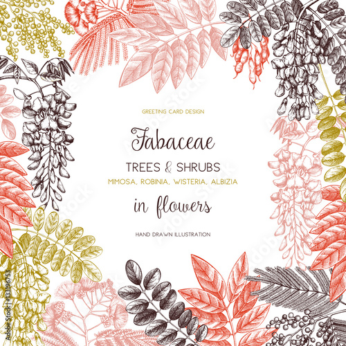 Vintage trees and shrubs in flowers illustration. Valentine's Day or Wedding design template. Vector greeting card with hand drawn wisteria, black locust, silver wattle, albizia sketch.