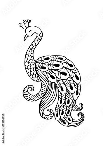 Hand drawn outline doodle Peacock illustration.