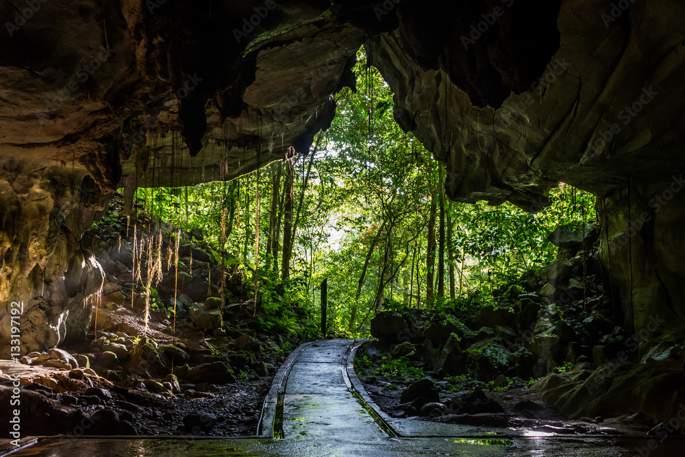 Cave Entrance to Jungle. Cave entrance in Mulu National Park, Borneo