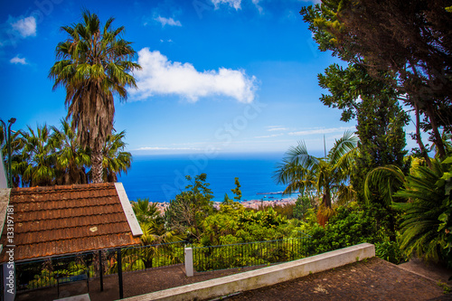  Île de Madère -Jardins tropicaux de Monte Palace