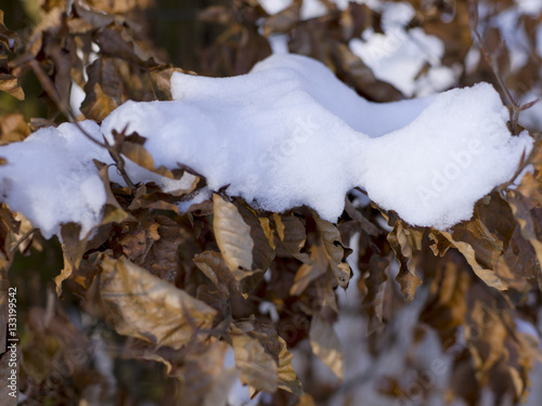 schnee und eis und winterliche texturen und hintergründe © epiximages