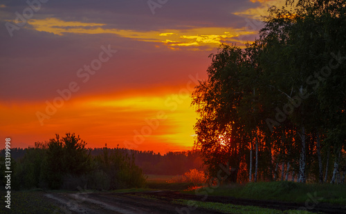 Sunset over the forest. © VASILEVS