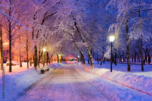 Alley night lamp winter © dbrus