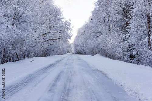 winter road in the woods © dbrus