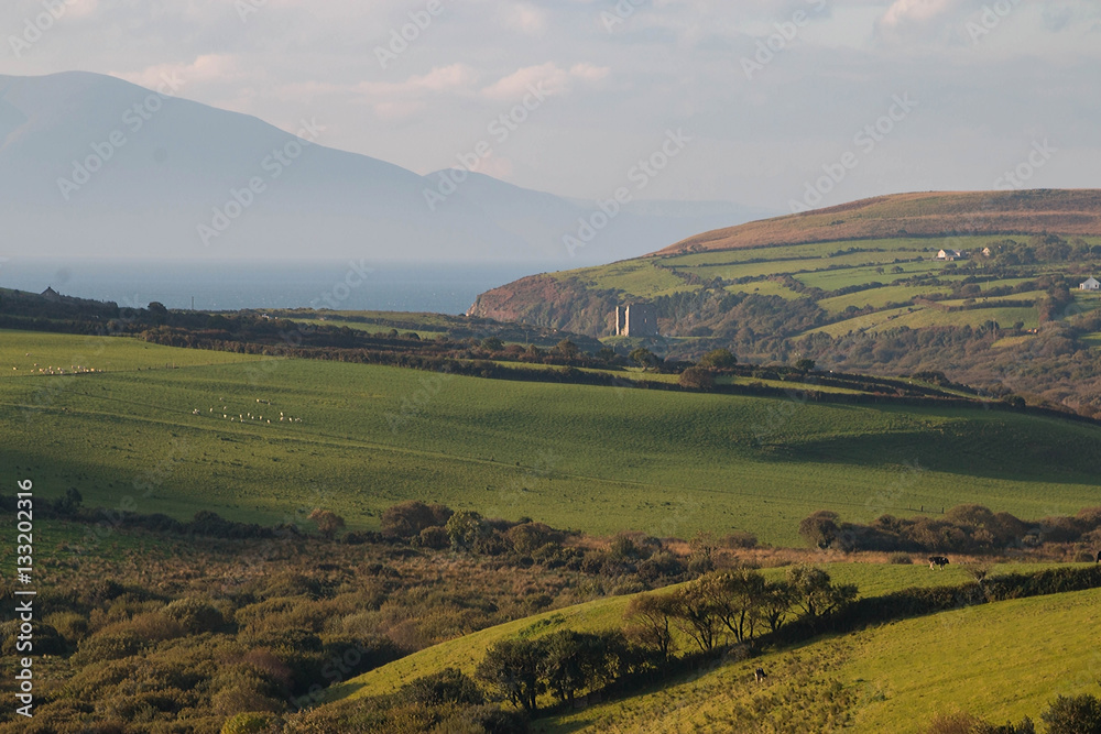 Irish Landscape Near Killarney