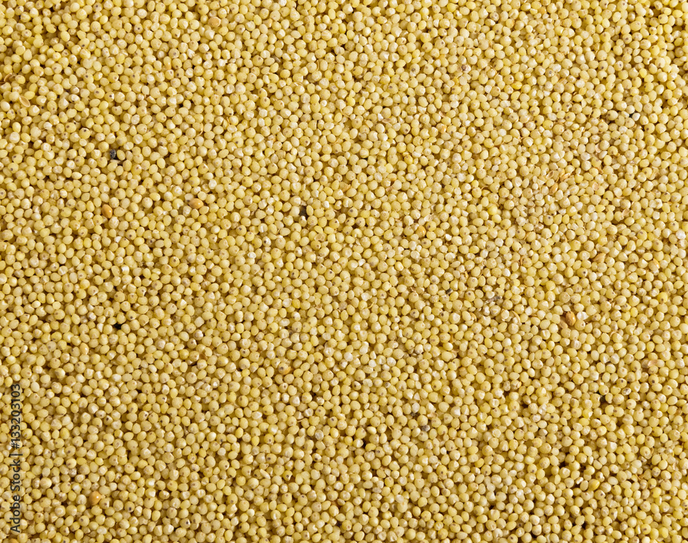 Millet. Texture. Millet. Texture.