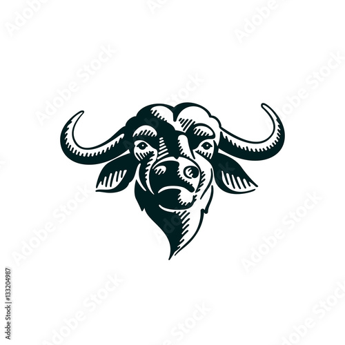 Vintage Buffalo illustration on white background.