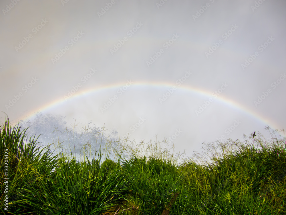Naklejka premium Close view from one of the water falls in Cataratas del Iguazu park