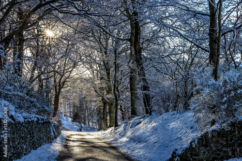 Snow at Haystoun, Peebles, Scotland photo