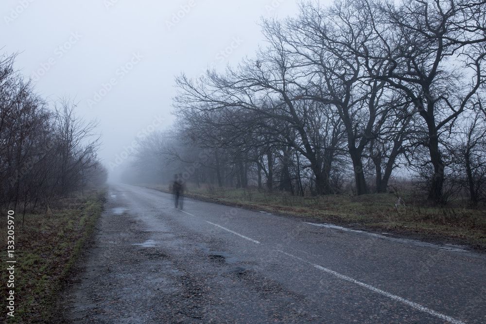 Fototapeta premium fog on a road