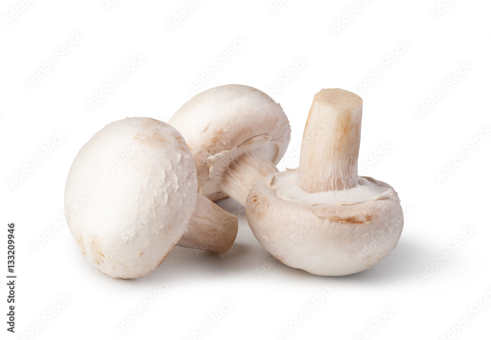 Champignon Champignon