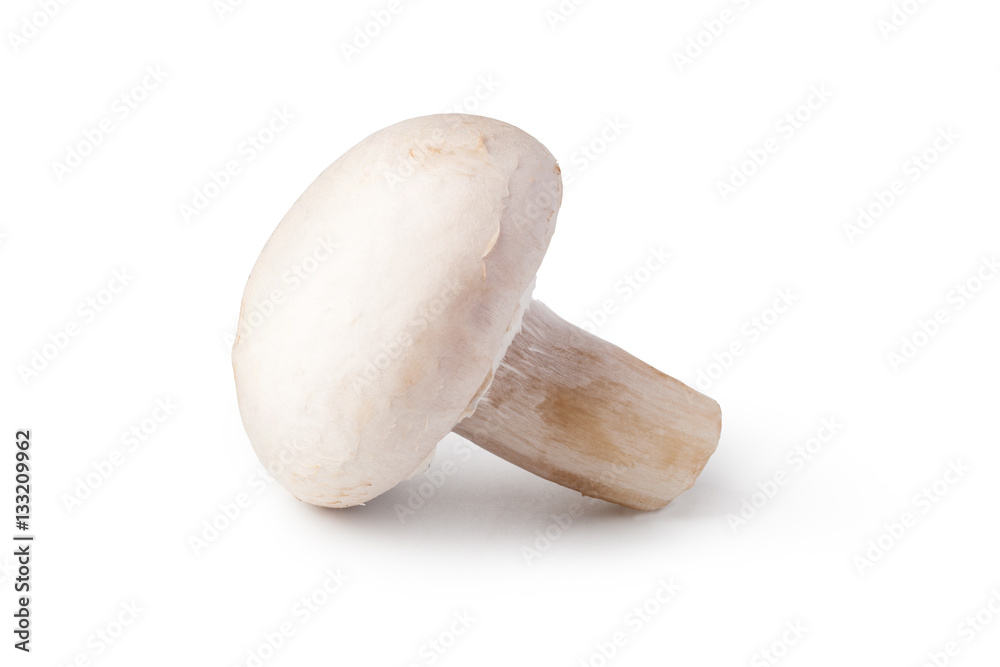 Champignon Champignon