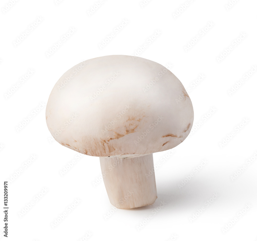 Champignon