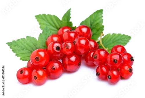 Red currant close up
