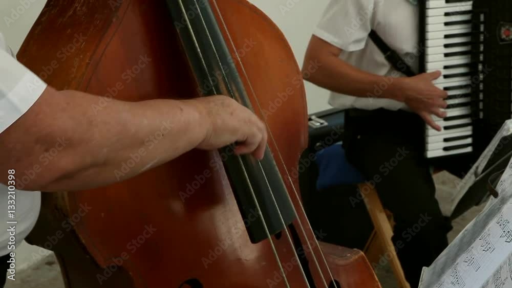 Hand of the musician on the bass strings Hand of the musician on the bass strings