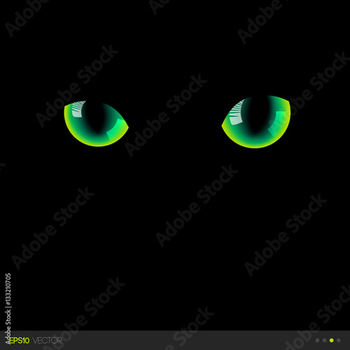 Black cat realistic green eyes in darkness. Vector illustration.