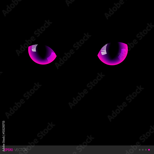 Black cat fantastic pink eyes in darkness. Vector illustration.