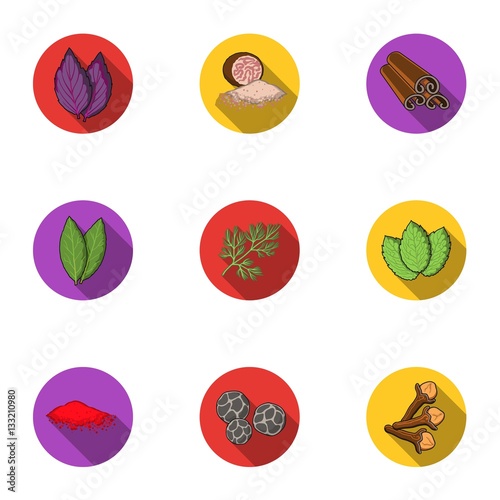 Herb and spices set icons in flat style. Big collection of herb and spices vector symbol stock illustration