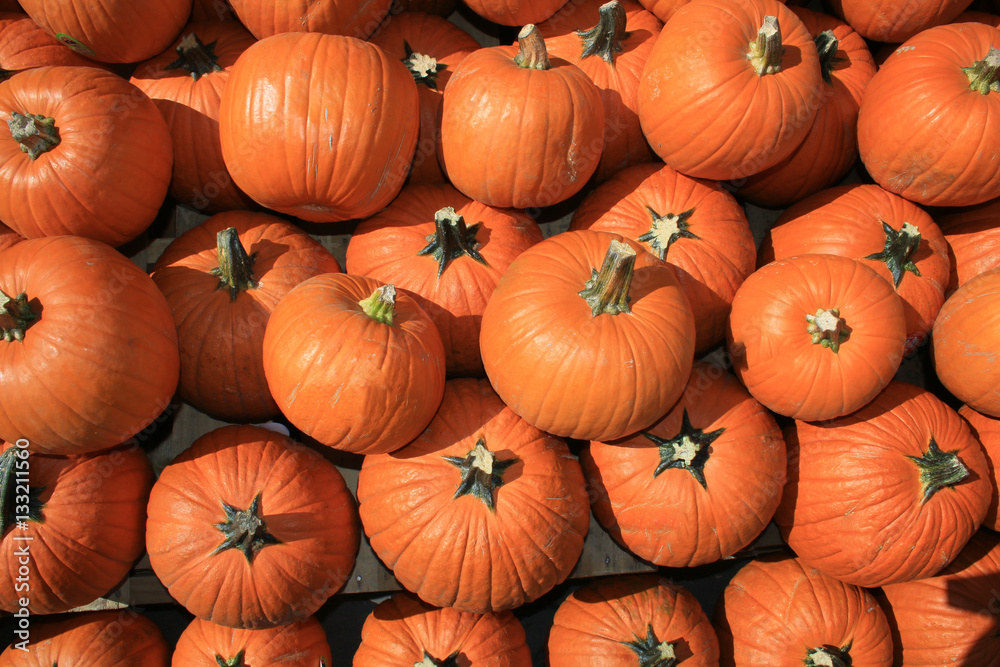 Pumpkins Pumpkins
