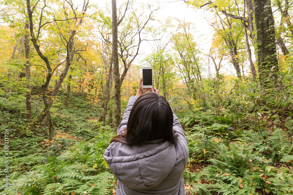 Back view of woman taking photo at forest Back view of woman taking photo at forest