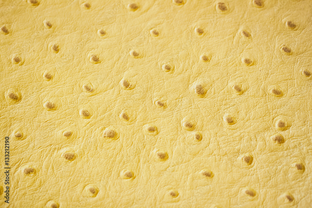 Φωτογραφία Texture of genuine Ostrich Stamped leather close-up, fashion, exotic background
