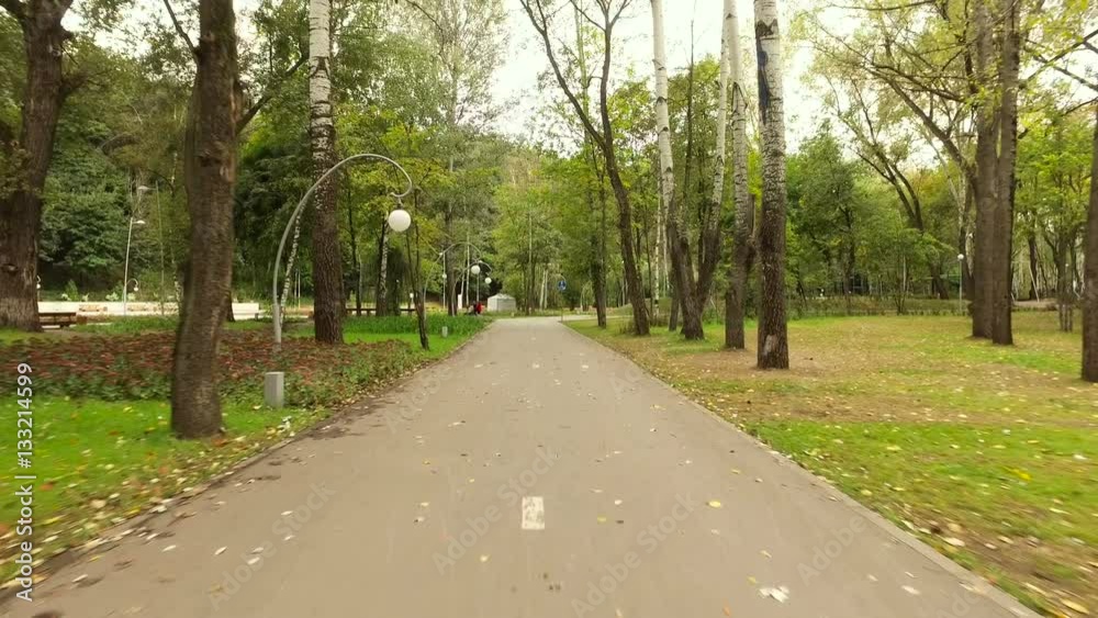 Dynamic shooting. Camera flying along the paved walkway in autumn park. 4K Dynamic shooting. Camera flying along the paved walkway in autumn park. 4K