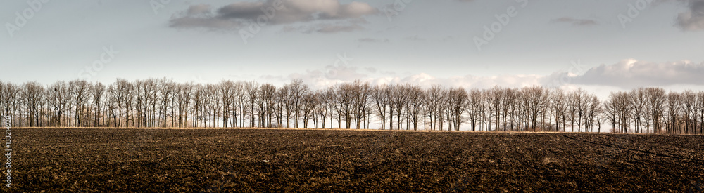 Trees line Trees line