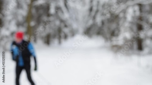 Blurry background of the winter forest.