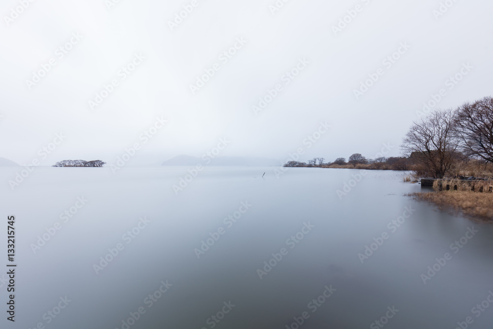 滋賀県 湖北水鳥公園 水中木 Stock Photo Adobe Stock 滋賀県 湖北水鳥公園 水中木 Stock Photo Adobe Stock