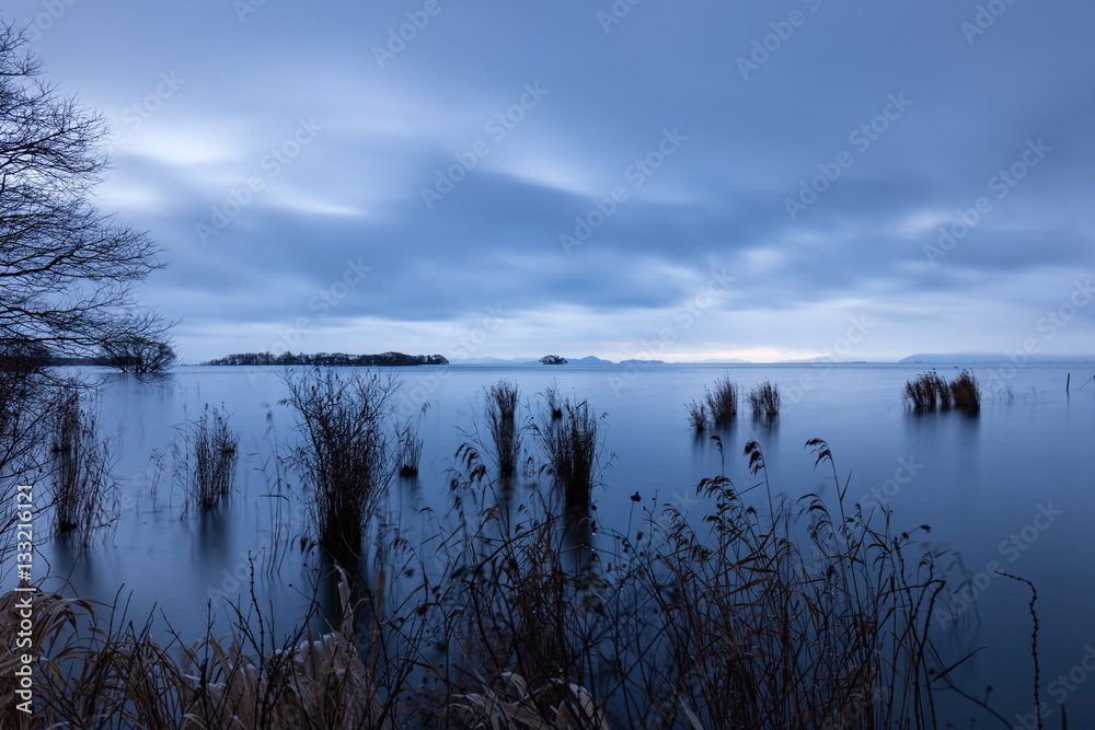 滋賀県 湖北水鳥公園 水中木 Stock Photo Adobe Stock 滋賀県 湖北水鳥公園 水中木 Stock Photo Adobe Stock
