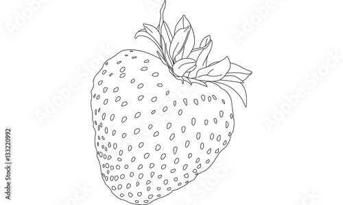 Strawberry Line Drawing