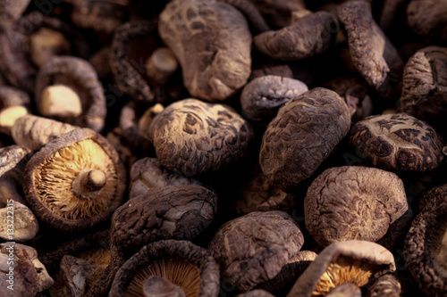closeup of mushrooms