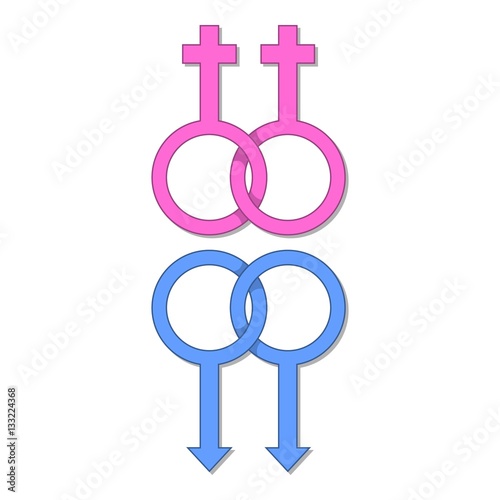 Lesbian and gay gender sign icon, cartoon style