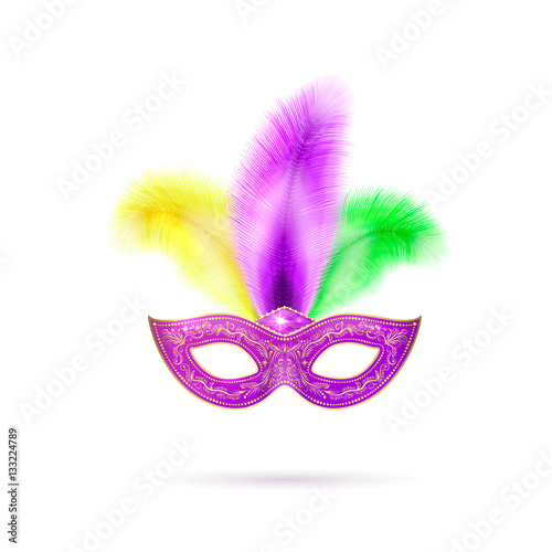 Vector illustration of violet Venetian carnival mask with colorful feathers