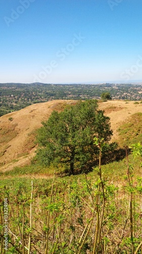 veduta panoramica dal Monte Tuscolo