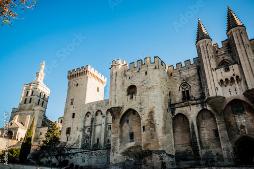 Le Palais des Papes d'Avignon et la Cathédrale Notre-Dame-des-Doms © Gerald Villena
