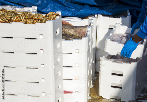  Fisherman making stack of crates full of freshly caught fish.