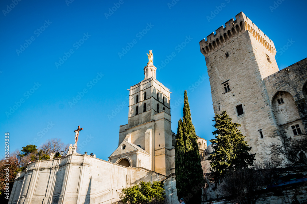 Le Palais des Papes d'Avignon et la Cathédrale Notre-Dame-des-Doms