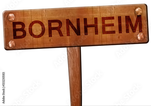 Bornheim road sign, 3D rendering photo