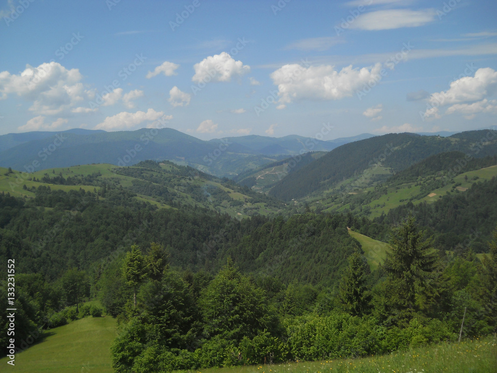 Summer in the Carpathian Mountains, Ukraine near of the village Synevir