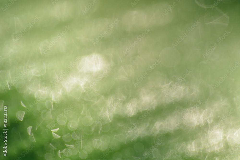 Fototapeta premium the rain drops on the green leaf in closeup