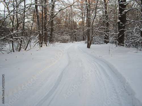 road in the winter forest   © evgenius1985