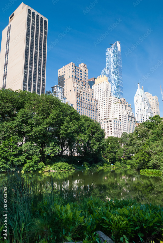 Fototapeta premium Manhattan towers emerging over Central Park