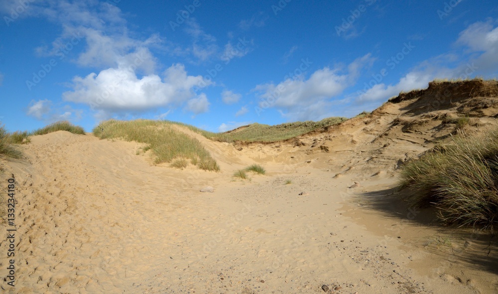 Dünenlandschaft