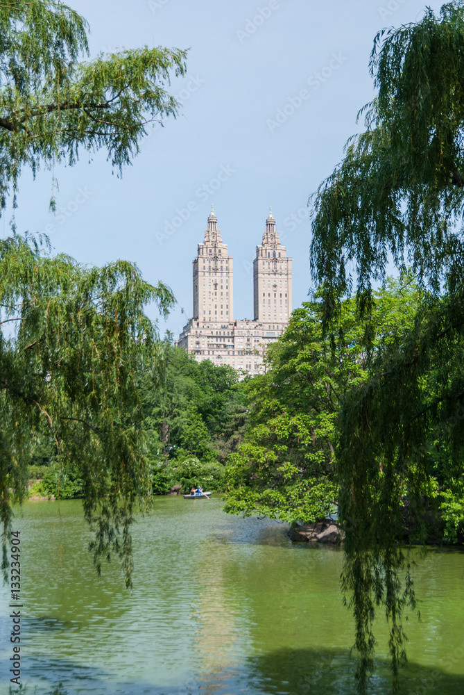 Manhattan towers emerging through the branches Manhattan towers emerging through the branches