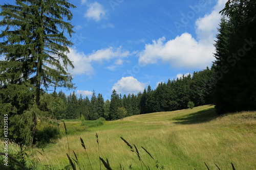 Bergwiese im Röthengrund photo